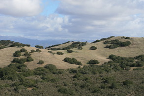 Marks Ranch