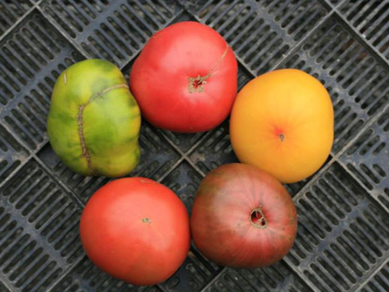 Heirloom Varieties