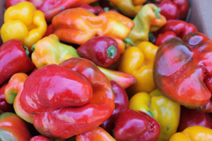 Sweet Peppers Mixed Sweet Peppers Mixed