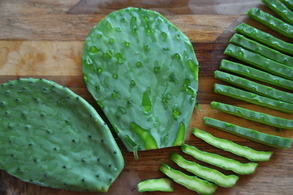 Nopal