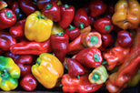 Sweet Peppers Mixed Sweet Peppers Mixed